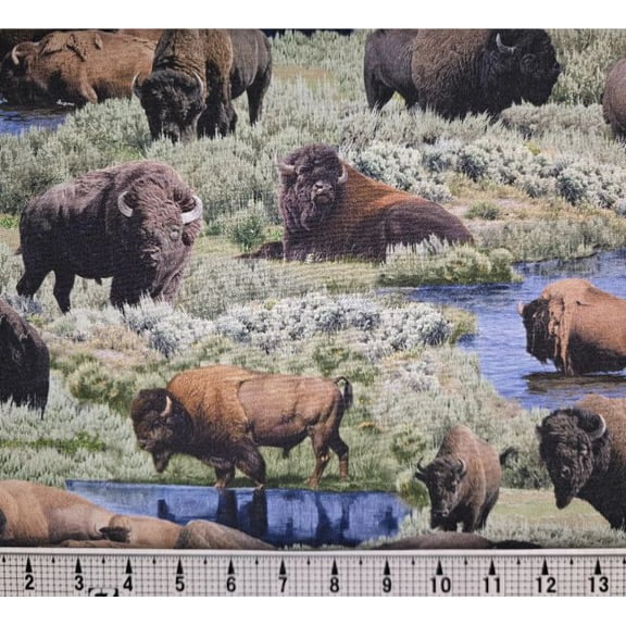 Cotton Bull's Eye Buffalo Bison Grass Lakes Wildlife Elizabeth Studios Cotton Fabric Print by the Yard (9701GREEN)