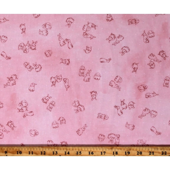 Cotton Bunnies Rabbits Cute Animals Easter Kids Baby Bunny Lane Pink Cotton Fabric Print by the Yard (ABYD-21659-226PEONY)