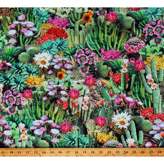 Cotton Cactus Flowers Bloom Cacti Succulents Flowering Plants Floral Landscape Desert Dreams Cotton Fabric Print by the Yard (WEST-CD1786-MULTI)