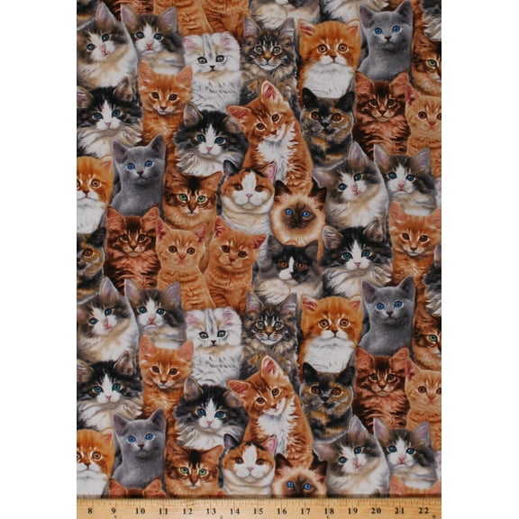 Cotton Cats Allover Cat Breeds Kittens Kitties Animals Feline Adorable Pets Cotton Fabric Print by the Yard (3802MULTI)