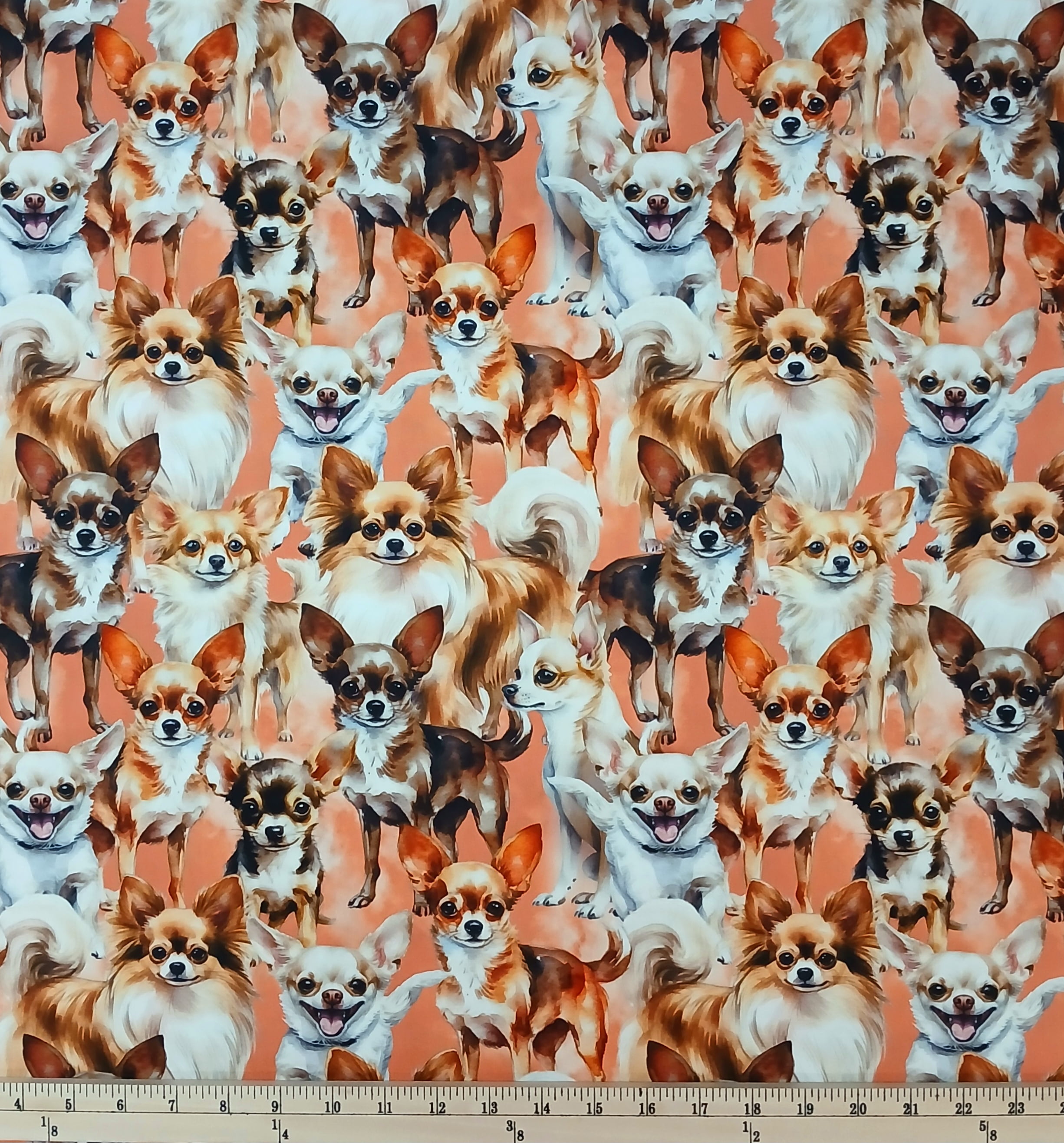 Cotton Chihuahua 3 Dogs Pets Puppies Packed All Over David Textiles Cotton Fabric Print by the Yard (DX-4819-3C)
