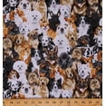 thumbnail image 1 of Cotton Dogs Breeds Types Animals Puppies Puppy Multicolor Cotton Fabric Print by the Yard (GM-C8553-MULTICOLOR), 1 of 1