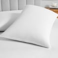 thumbnail image 1 of Premium Cotton Zippered Pillow Protector, 1 of 5