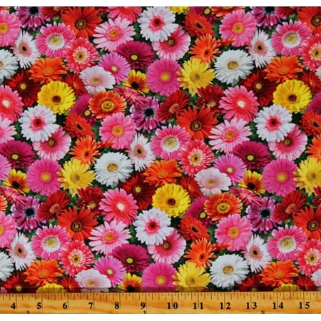 Cotton Gerber Daisy Daisies Flowers Floral Plants Gardens Landscapes Nature Multicolor Cotton Fabric Print by the Yard (700-MULTI)