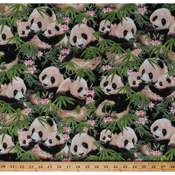 Cotton Giant Pandas Panda Bears Baby Panda Cubs Animals Wildlife Nature Plants Bamboo Leaves Flowers Scenic Pandamania Cotton Fabric Print by the Yard (1230-Black)