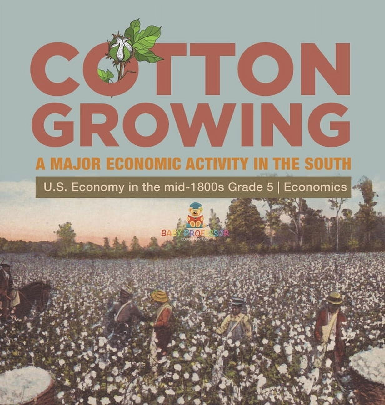 Cotton Growing: A Major Economic Activity in the South U.S. Economy in ...