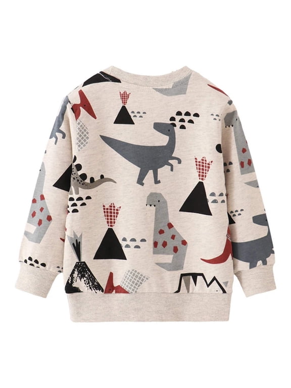 Cotton Hoodie Sweatshirts for Boys