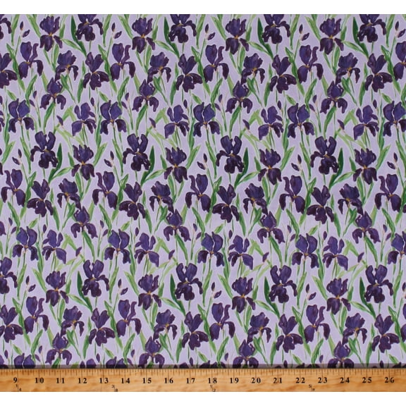 Cotton Irises Purple Flowers Floral Garden Blossoms Spring Cotton Fabric Print by the Yard (STELLA-DCWR2026-MULTI)