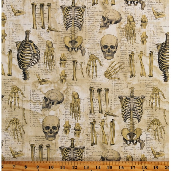 Cotton Laboratory Tim Holtz Eclectic Elements Anatomy Skeleton Body Bones Writings Words Neutral Cotton Fabric Print by the Yard (PWTH181.NEUTRAL)