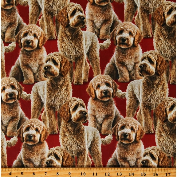 Cotton Labradoodles Dogs Puppies Pups Pets Animals Red Cotton Fabric Print by the Yard (DX-4295-3C-1MULTI)