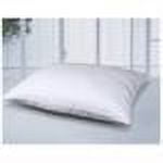 Cotton Loft Firm Pillow
