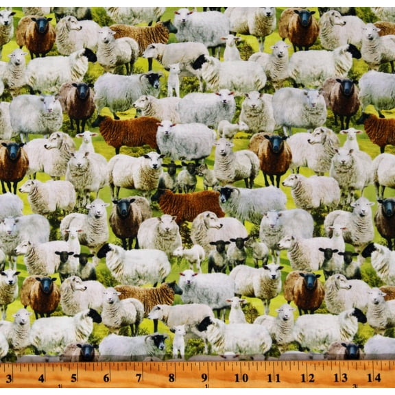 Cotton Packed Sheep Lambs Farm Animals Cotton Fabric Print by the Yard (FARM-CD3077-SAGE)
