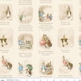 thumbnail image 1 of Cotton Peter Rabbit and Benjamin Bunny Story Time Cream Childrens Books Officially Licensed by Riley Blake Cotton Fabric Print by the Yard (CD17252-CREAM), 1 of 1