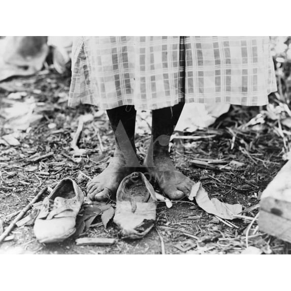 Cotton Picker, 1937, Unframed Photographic Print Wall Art by Dorothea Lange Sold by Art.Com