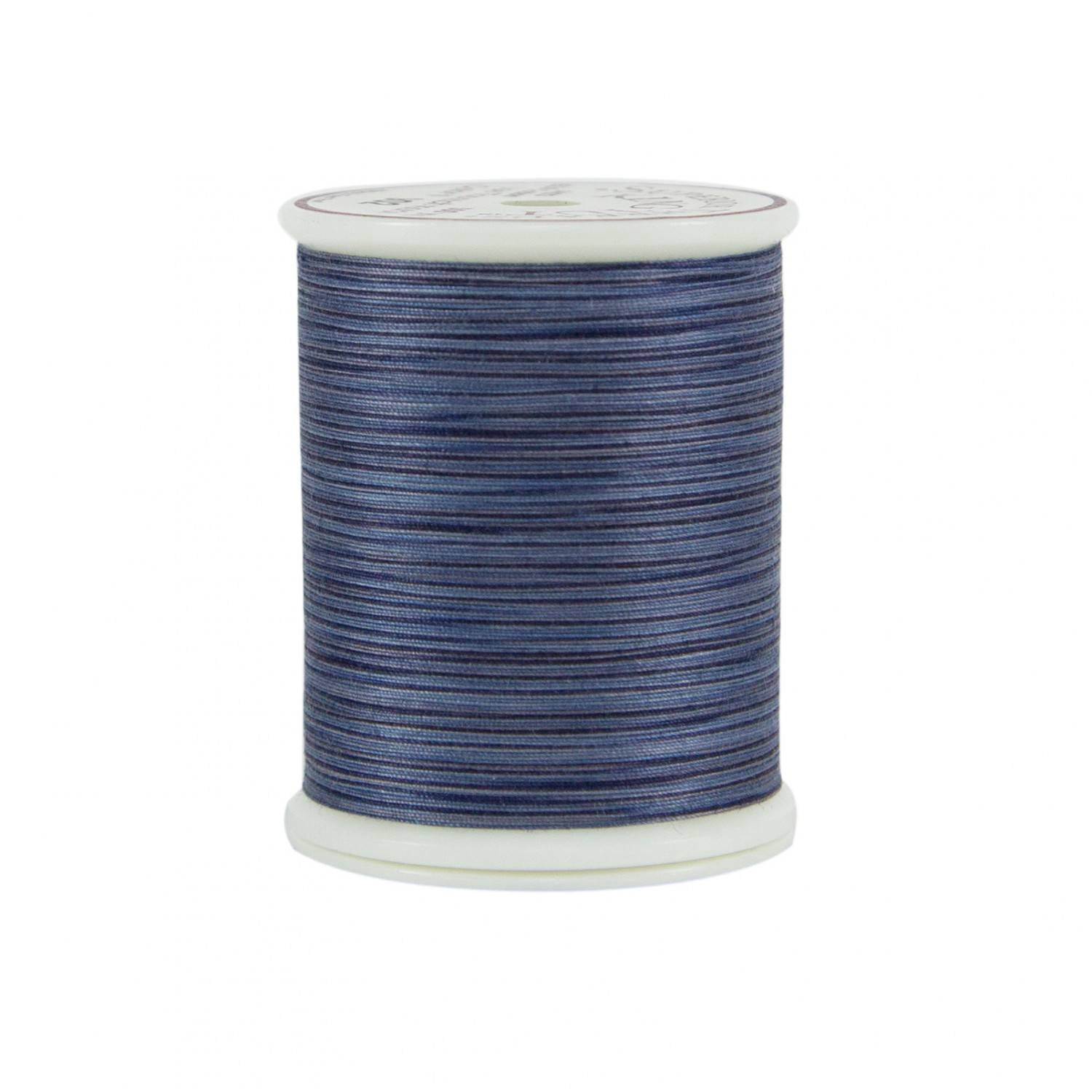 King Tut Quilting Thread 500yd 5ct Stone Age 40wt Cotton BOX05 Variegated