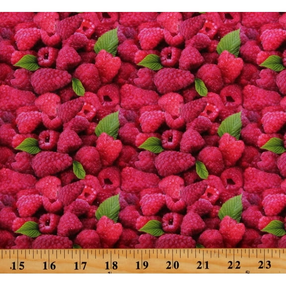 Cotton Raspberries Red Raspberry Berries Fruits Food Allover Cotton Fabric Print by the Yard (115483)