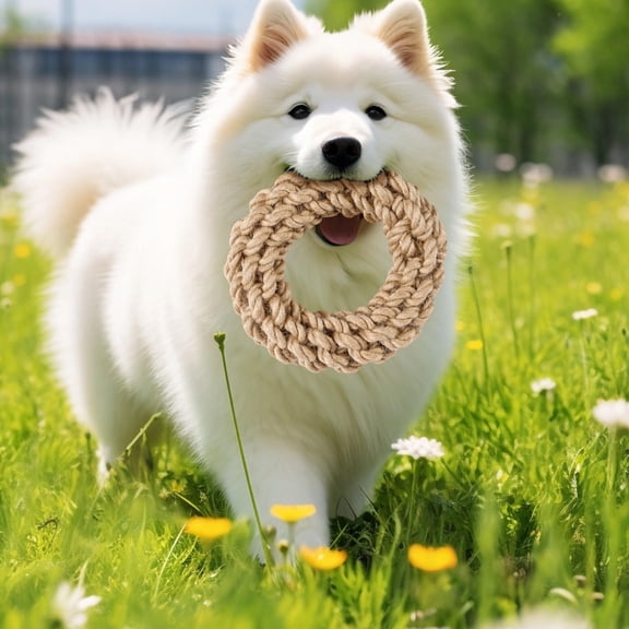 Cotton Rope Dog Toy, Knot Molar Teeth Cleaning Toy for Medium Large Dogs, Interactive Tug of War Pet Toy