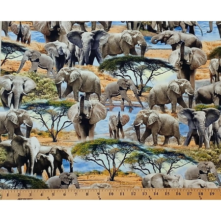 Cotton Serengeti Plains Trunk Show African Elephants Safari Animals Landscape Michael Miller Fabrics Cotton Fabric Print by the Yard (dcx11948-dawn-d)