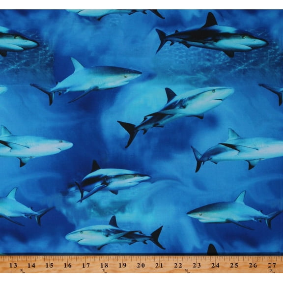 Cotton Sharks Predators Aquatic Animals Water Ocean Sea Blue Cotton Fabric Print by the Yard (SEA-CD1978-BLUE)