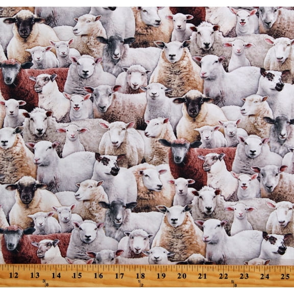 Cotton Sheep Lambs Animals Barnyard Farm Animals Cream Cotton Fabric Print by the Yard (600MULTI)