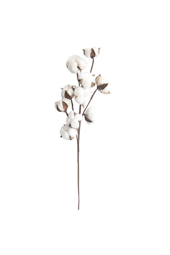 Cotton Stems Farmhouse Style Display Filler - Floral Decoration