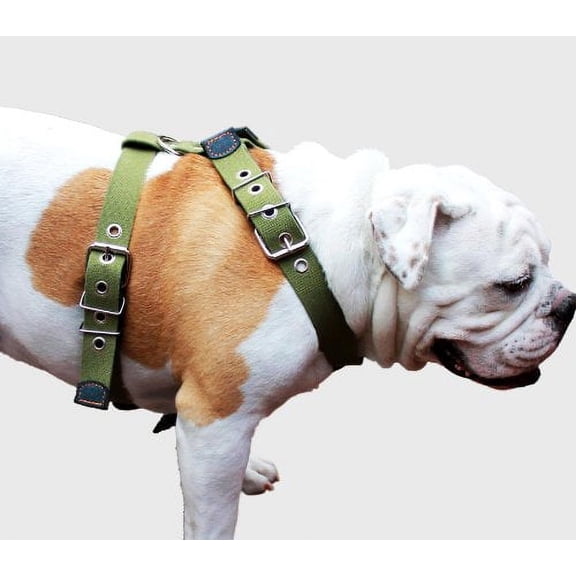 Cotton Web Dog Harness XLarge. Fits Girth 35"-40". 1.5" Wide Straps, Mastiff, Great Dane, Cane Corso