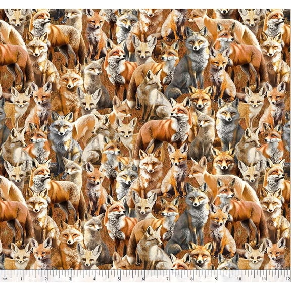 Cotton Wild Animals Foxes Fennec Fox Animals Wildlife Packed Windham Fabrics Cotton Fabric Print by the Yard (55034D-1)