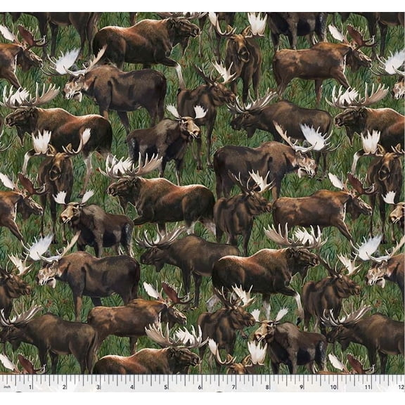 Cotton Wildlife Animals Moose All Over Landscape Grass Windham Fabrics Cotton Fabric Print by the Yard (55029D-1)