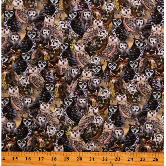 Cotton Wild Wonder Owls Birds Animals Creatures Brown Cotton Fabric Print by the Yard (Y4074-55-MULTICOLOR)