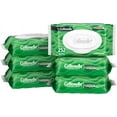 thumbnail image 1 of Cottonelle GentlePlus Flushable Wet Wipes with Aloe & Vitamin E, 6 Flip-Top Packs, 42 Wipes Per Pack (252 Total Wipes), Packaging May Vary, 1 of 5