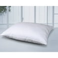 thumbnail image 1 of Cottonloft  Self-Cooling Multi Position Feather Core and Cotton Filled Soft Bed Pillow with Cotton Cover - White King, 1 of 2