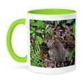 thumbnail image 1 of 3dRose, Cottontail Rabbit On Forest Floor From Above Bunny Animal , 15oz Two-Tone Green Mug, 1 of 7