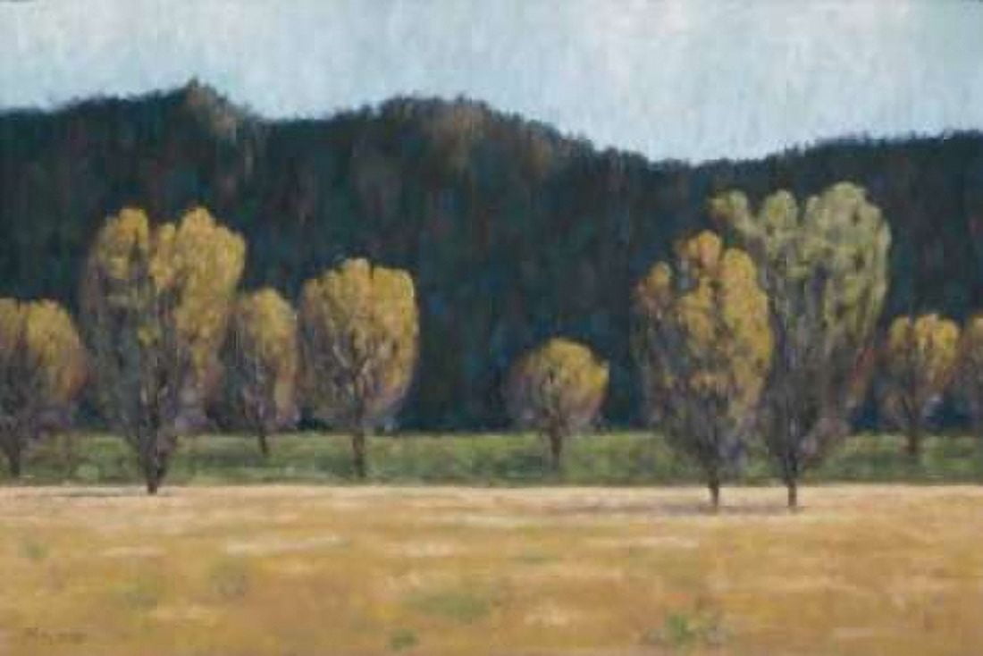Cottonwood Country II Canvas Art - John Macnab (12 x 18)