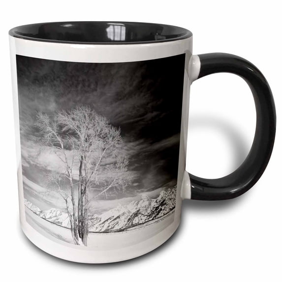 3drose, Cottonwood Tree in Winter, Wyoming, Usa - Us51 Ssm0102 - Scott T. Smith, 11oz Two-tone Black Mug