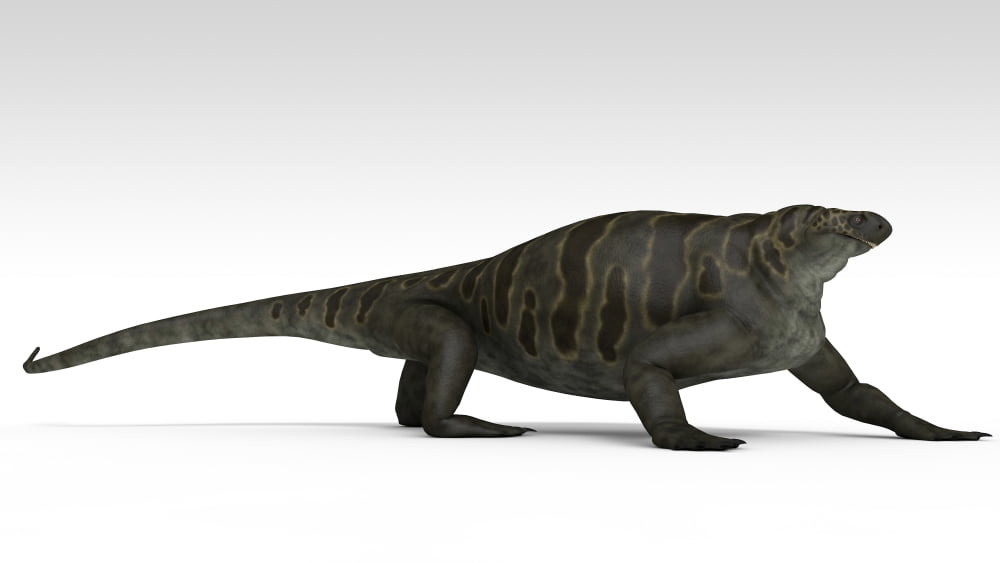 Cotylorhynchus a large synapsid of the Early Permian period Canvas Art - Kostyantyn IvanyshenStocktrek Images (38 x 22)