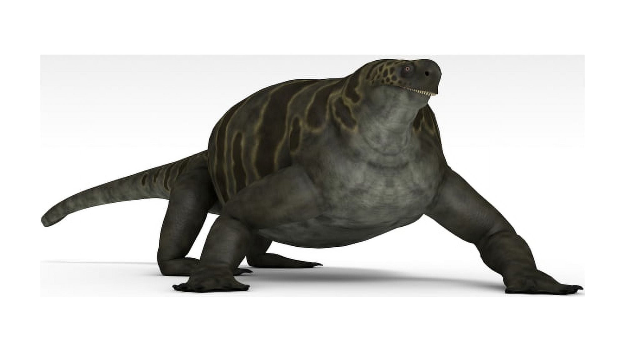 Cotylorhynchus a large synapsid of the Early Permian period Canvas Art - Kostyantyn IvanyshenStocktrek Images (38 x 22)