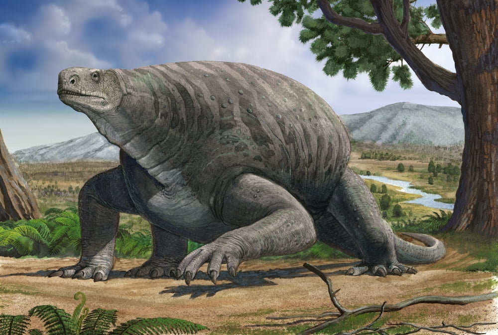 Cotylorhynchus bransoni a prehistoric animal from the Paleozoic Era Canvas Art - Sergey KrasovskiyStocktrek Images (17 x 12)