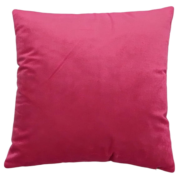 Couch Throw Pillows for Living Room, Accent Pillow Covers, Hot Pink, 22X22 In, Velvet Material, Living Room Decorations, 1 Pc