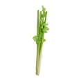 thumbnail image 1 of CoudarTitie Artificial Simulation Vegetable Photography Prop Kitchen Display Home Decor Fake Celery 39x5cm, 1 of 9