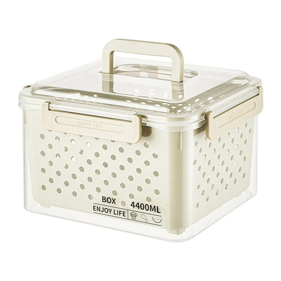 CoudarTitie Fruit Container for Fridge Keep Fresh with Removable Colander with Lid Leakproof 20x16x15cm