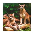 thumbnail image 1 of Cougars Wild in Nature - Canvas, 1 of 10