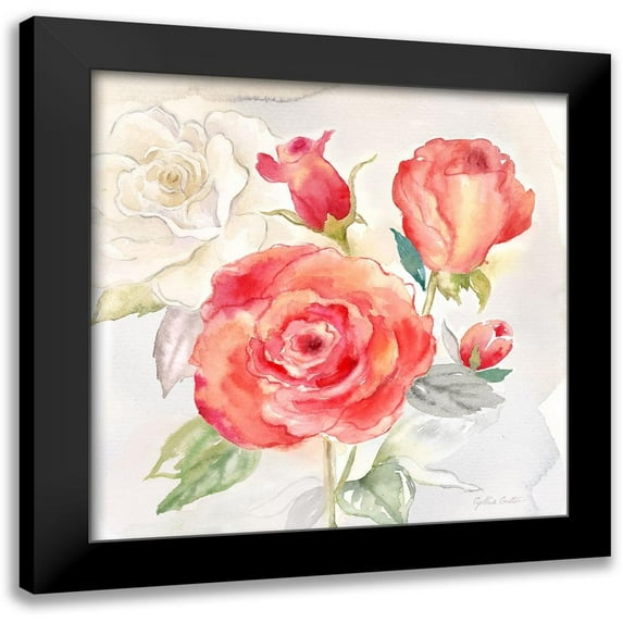 Coulter, Cynthia 12x12 Black Modern Framed Museum Art Print Titled - Garden Roses I