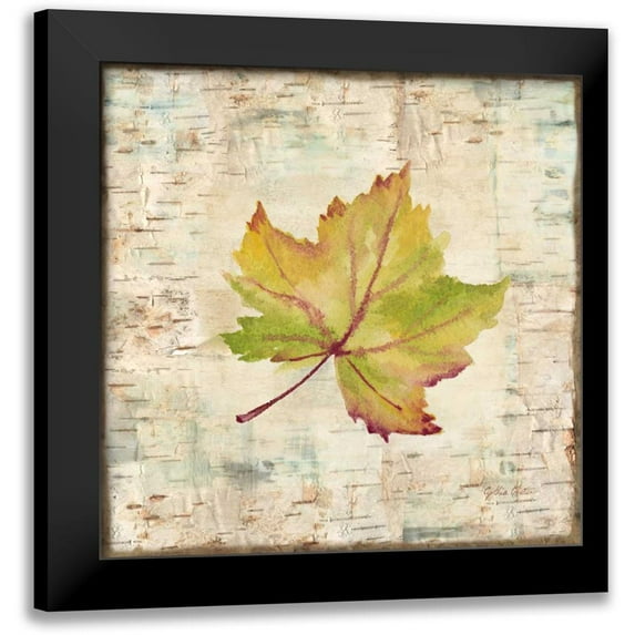 Coulter, Cynthia 12x12 Black Modern Framed Museum Art Print Titled - Nature Walk Leaves III
