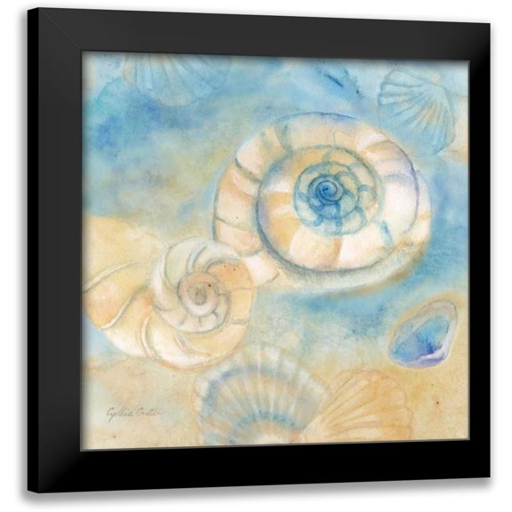 Coulter, Cynthia 12x12 Black Modern Framed Museum Art Print Titled - Watercolor Shells I