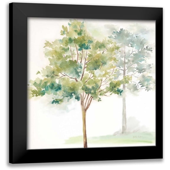 Coulter, Cynthia 12x12 Black Modern Framed Museum Art Print Titled - Woodland Trees IV