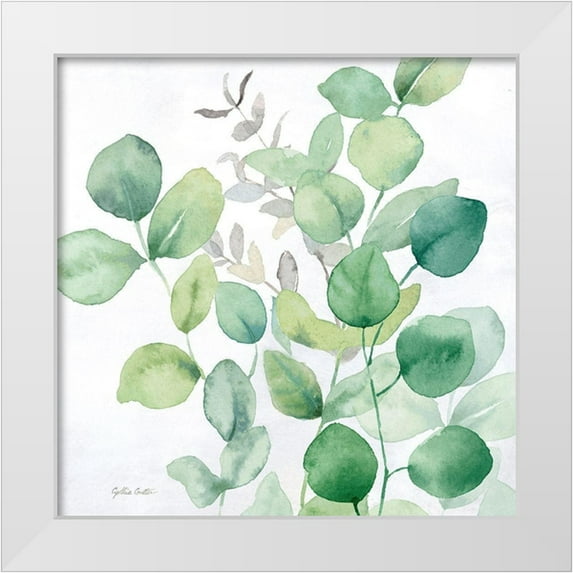 Coulter, Cynthia 12x12 White Modern Wood Framed Museum Art Print Titled - Eucalyptus Leaves I