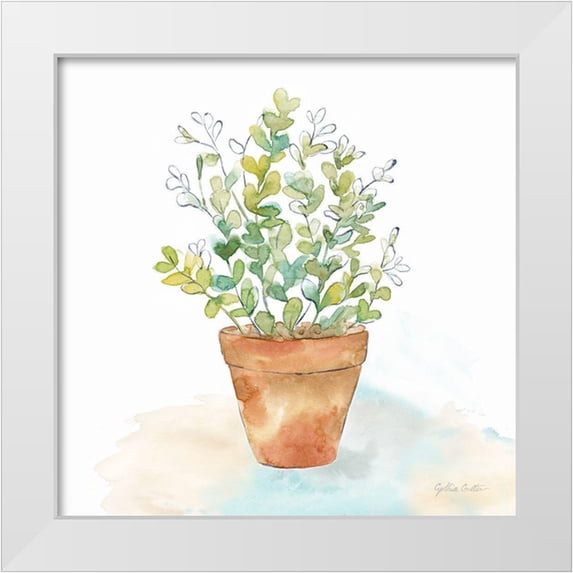 Coulter, Cynthia 12x12 White Modern Wood Framed Museum Art Print Titled - Let it Grow IX