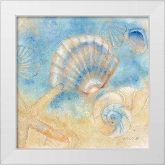 Coulter, Cynthia 12x12 White Modern Wood Framed Museum Art Print Titled - Watercolor Shells II
