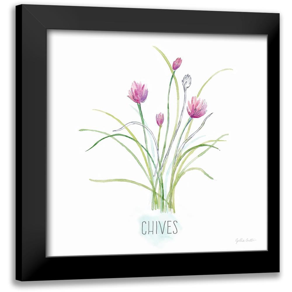 Coulter, Cynthia 15x15 Black Modern Framed Museum Art Print Titled ...