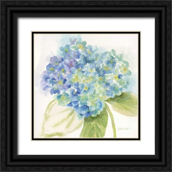 Coulter, Cynthia 15x15 Black Ornate Wood Framed with Double Matting Museum Art Print Titled - Painted Hydrangeas II